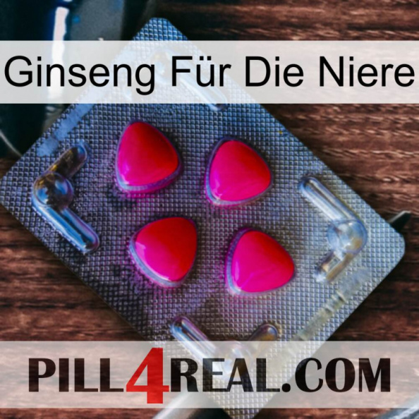 Ginseng Für Die Niere 13